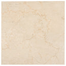 Boldara Crema Marble Look Porcelain Tile 12x12 | Tile Club