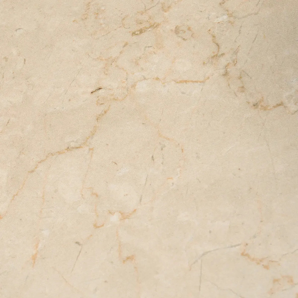Boldara Crema Marble Look Porcelain Tile 12x12 | Tile Club