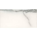 Tile Club | Calacatta Gold 3X6 Honed Marble Tile position: 1