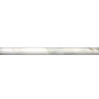 Calacatta Gold Marble Pencil Liner Honed | Tile Club