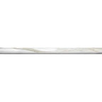 Calacatta Gold Marble Pencil Liner Polished | Tile Club