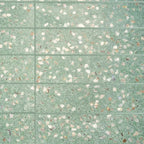 Corazza Tropical Green Shell and Terrazzo Subway Tile | Tile Club