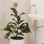 Ornamental Plant in Front of Crema Marfil Herringbone 1X3 Polished marble mosaic