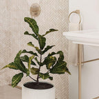 Ornamental Plant in Front of Crema Marfil Herringbone 1X3 Polished marble mosaic