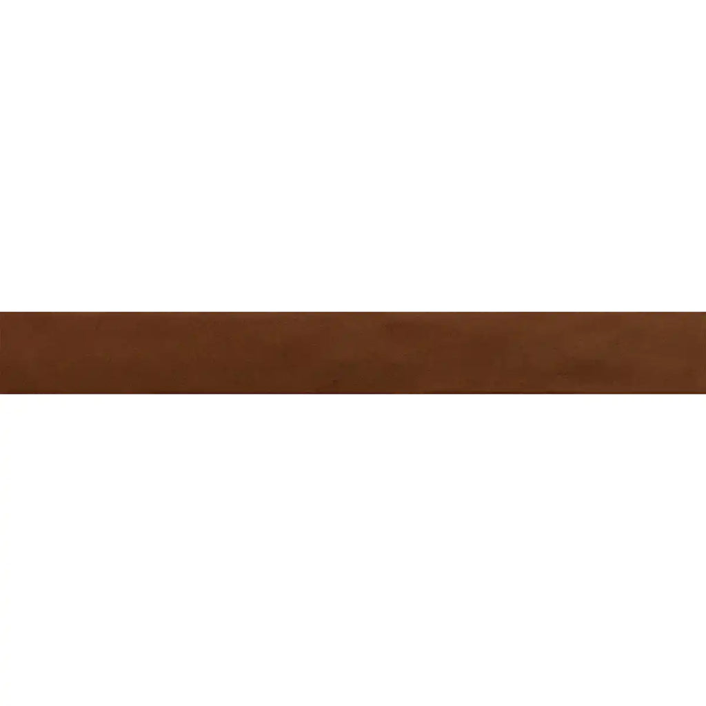 Malden Canyon Gloss Ceramic Tile 2"x17" | Tile Club