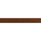 Malden Canyon Gloss Ceramic Tile 2"x17" | Tile Club