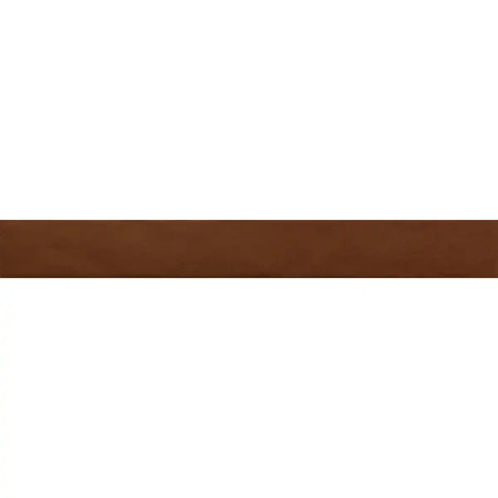 Malden Canyon Gloss Ceramic Tile 2"x17" | Tile Club