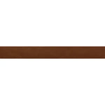 Malden Canyon Gloss Ceramic Tile 2"x17" | Tile Club