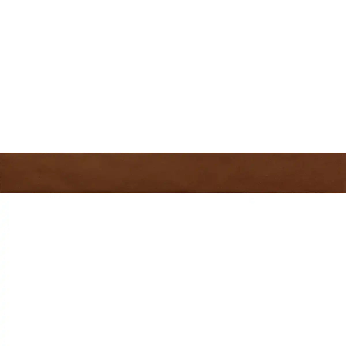 Malden Canyon Gloss Ceramic Tile 2"x17" | Tile Club