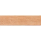 Vinton Cotto Gloss Ceramic Subway Tile Sample 4"x16"