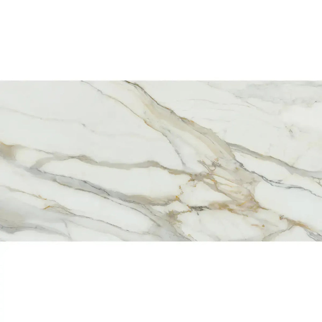 Emporio Arabescato Corchia Polished Porcelain Tile 24x48 | Tile Club