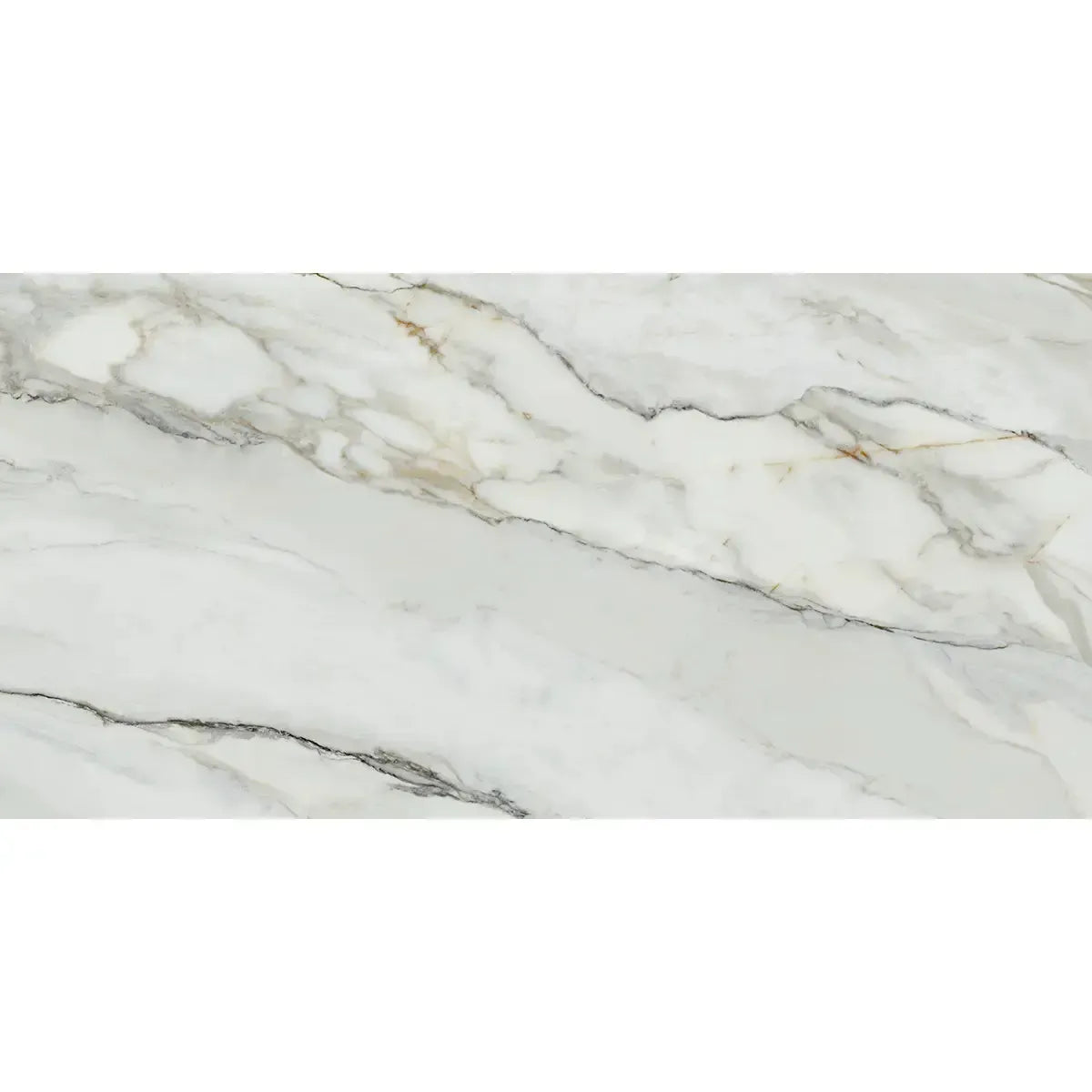 Emporio Arabescato Corchia Polished Porcelain Tile 24x48 | Tile Club