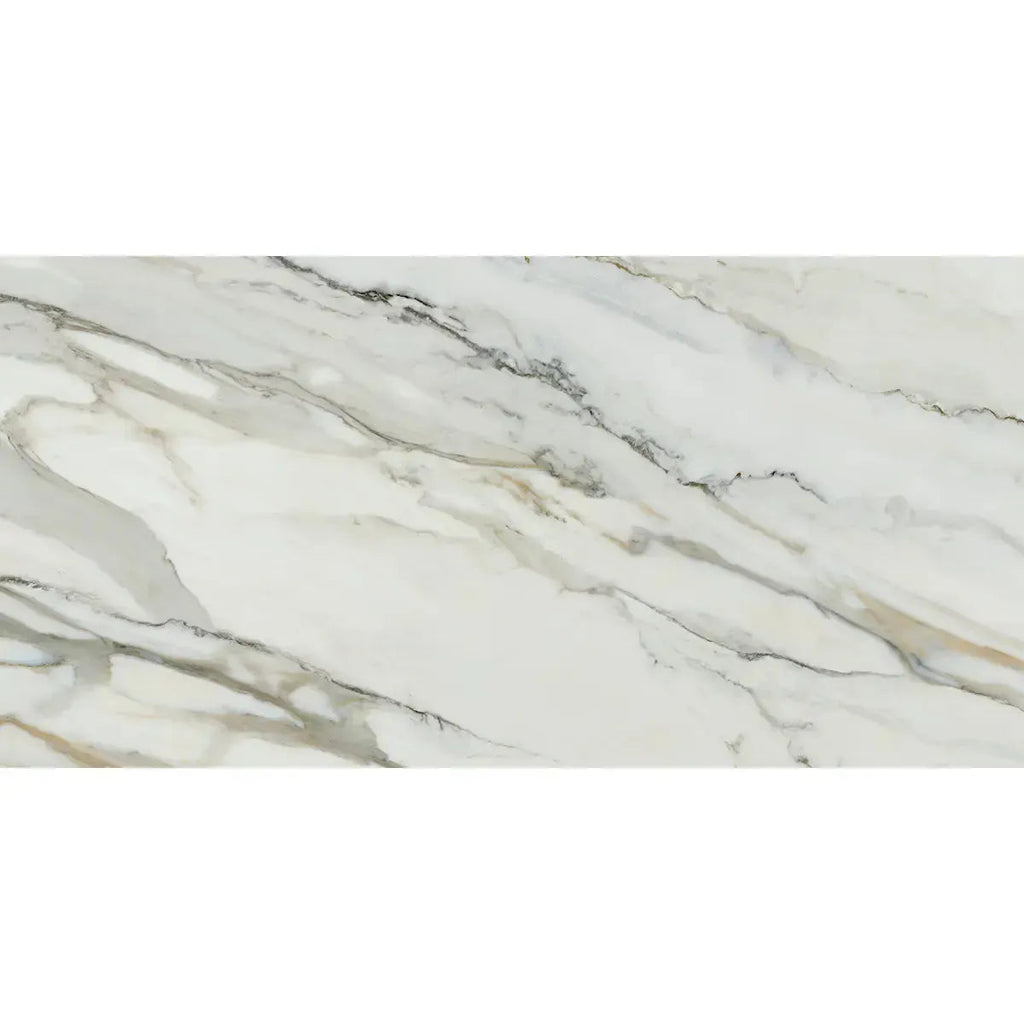 Emporio Arabescato Corchia Polished Porcelain Tile 24x48 | Tile Club