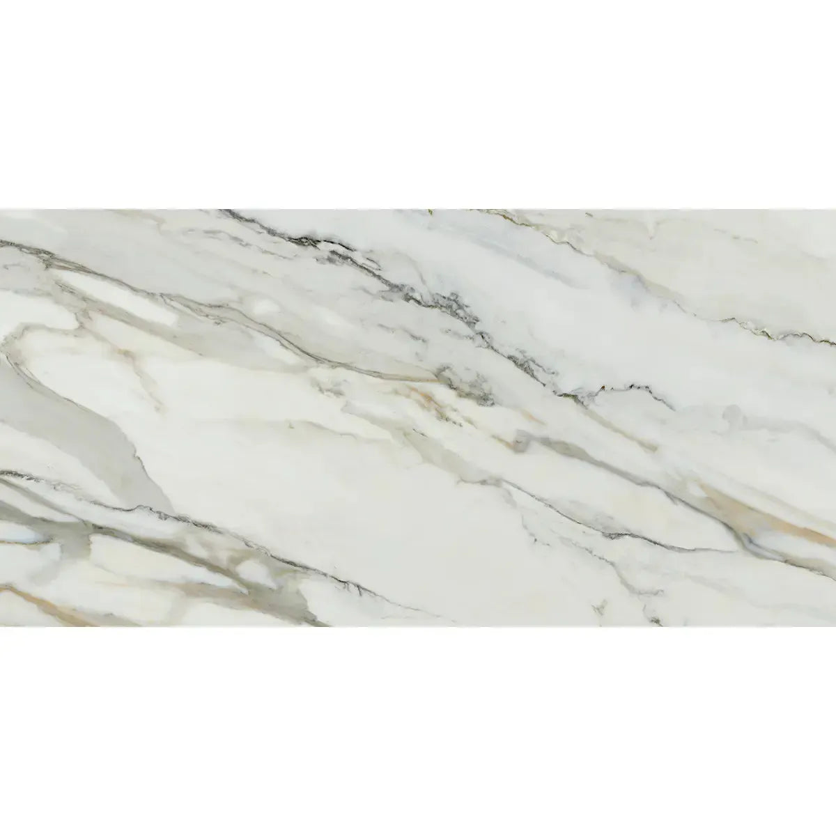 Emporio Arabescato Corchia Polished Porcelain Tile 24x48 | Tile Club