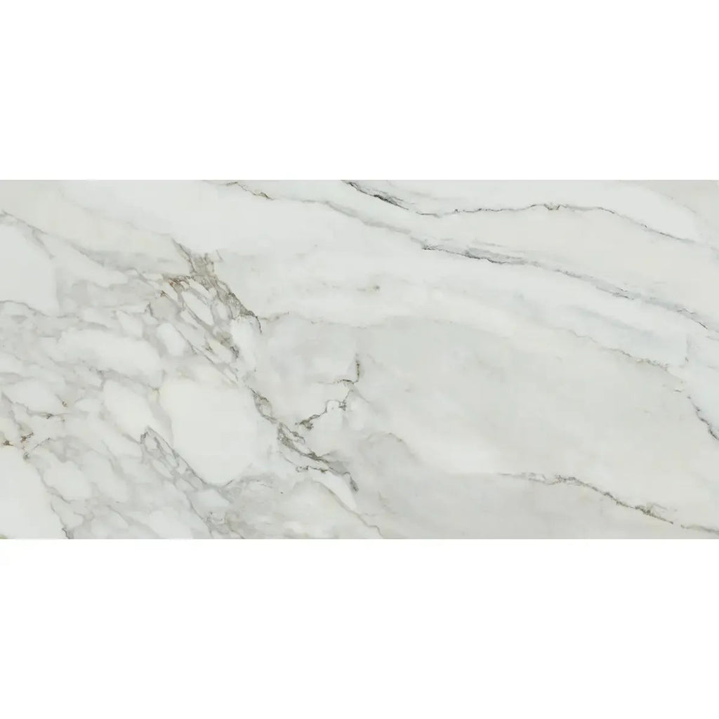 Emporio Arabescato Corchia Polished Porcelain Tile 24x48 | Tile Club