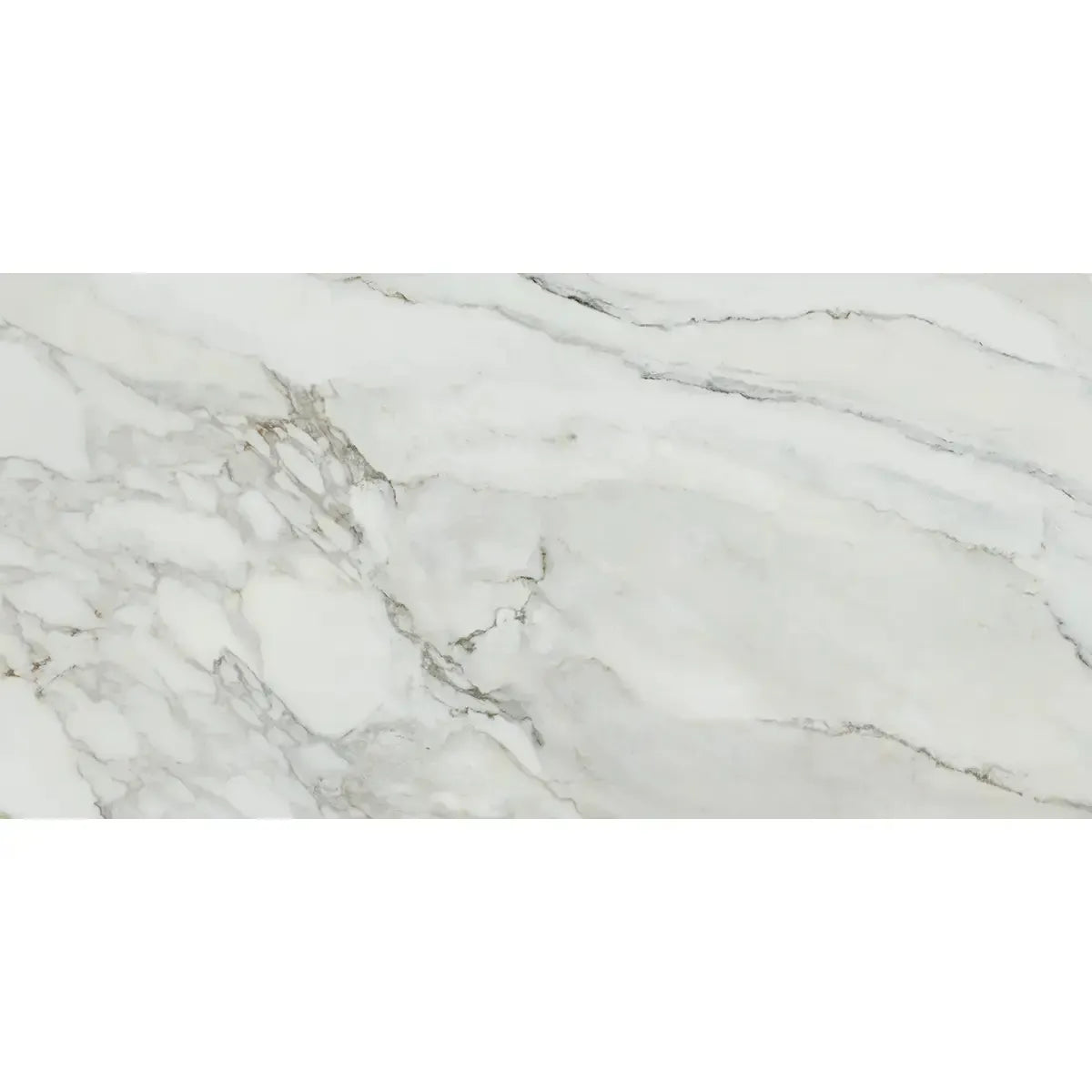 Emporio Arabescato Corchia Polished Porcelain Tile 24x48 | Tile Club