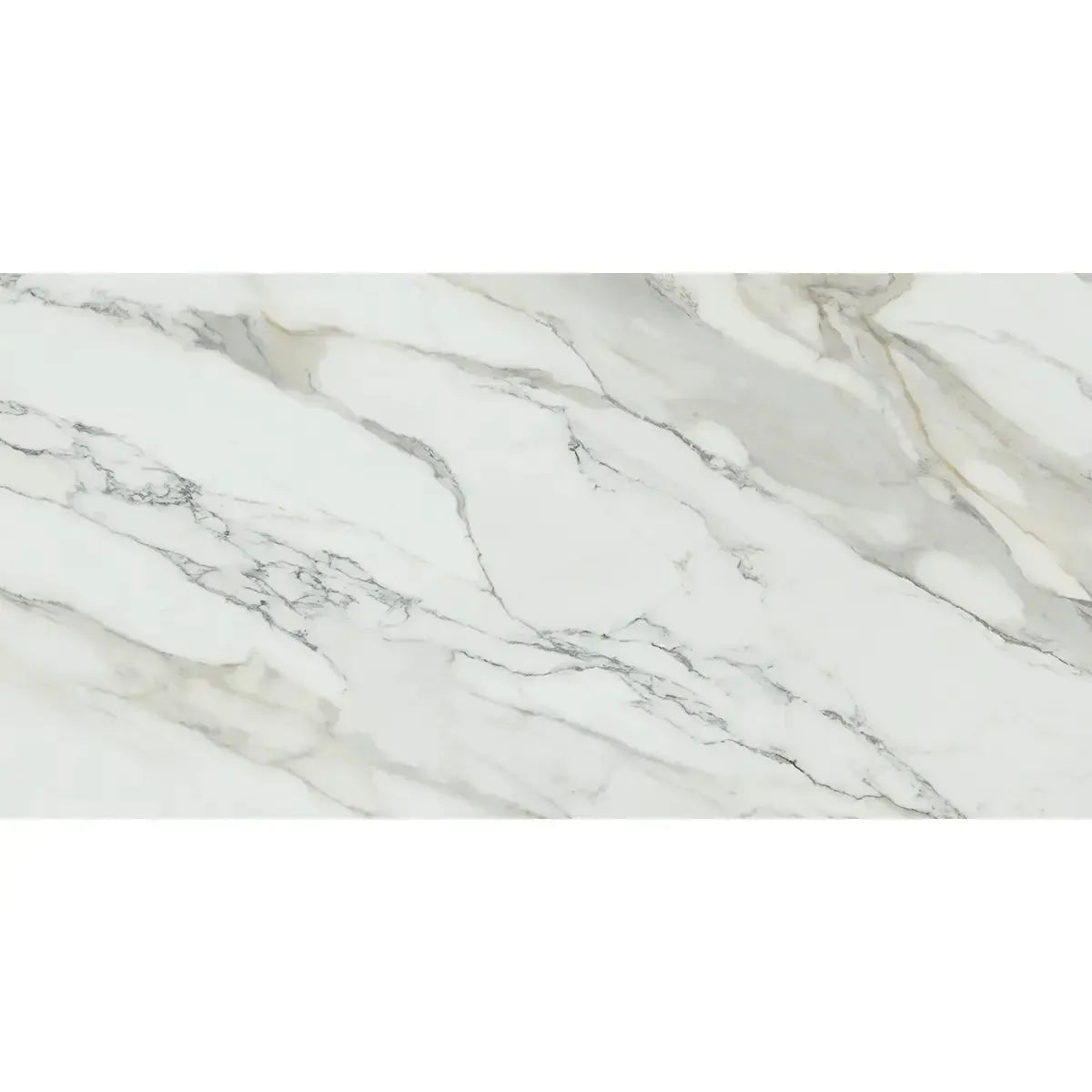 Emporio Arabescato Corchia Polished Porcelain Tile 24x48 | Tile Club