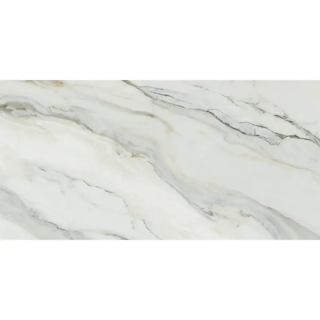Emporio Arabescato Corchia Polished Porcelain Tile 24x48 | Tile Club