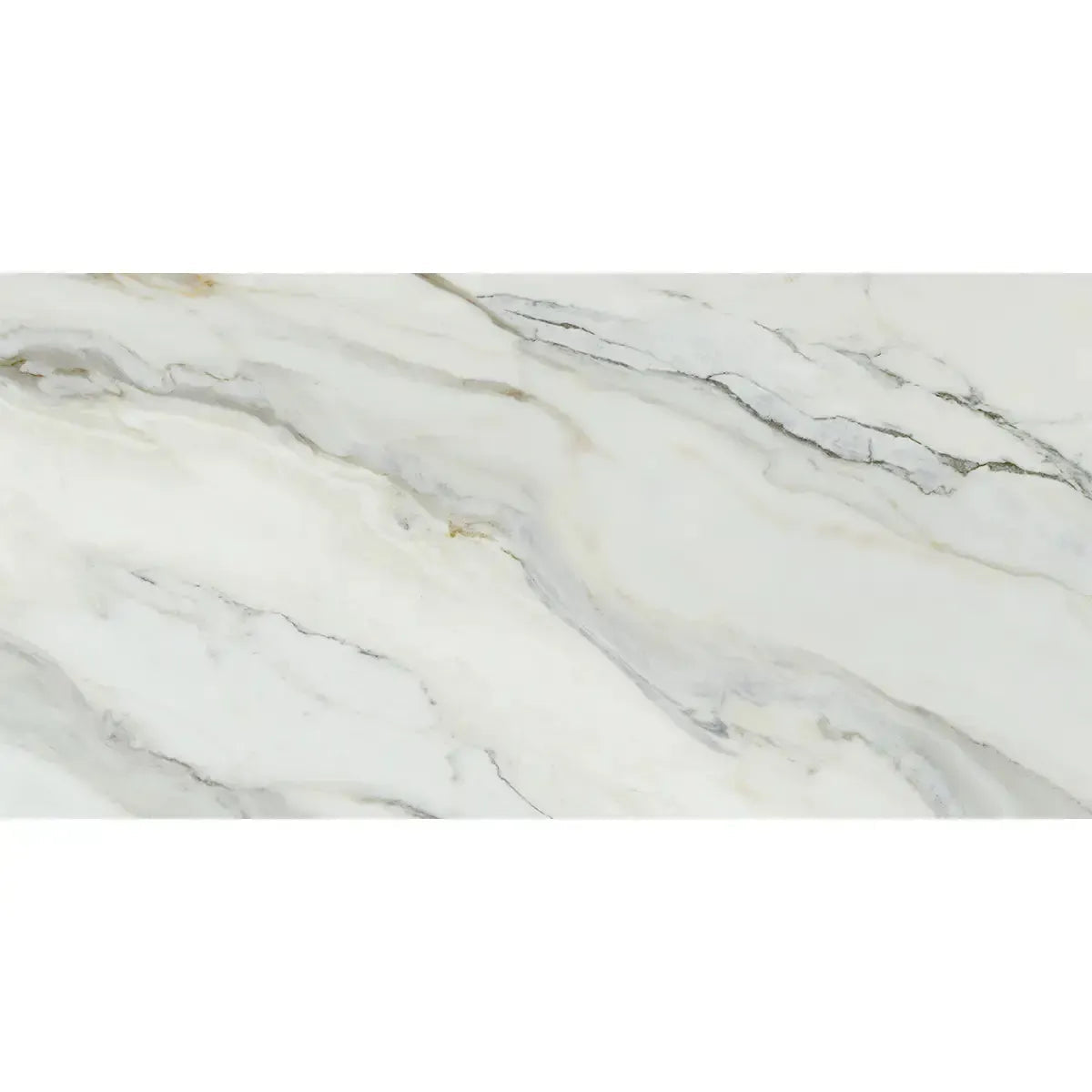 Emporio Arabescato Corchia Polished Porcelain Tile 24x48 | Tile Club