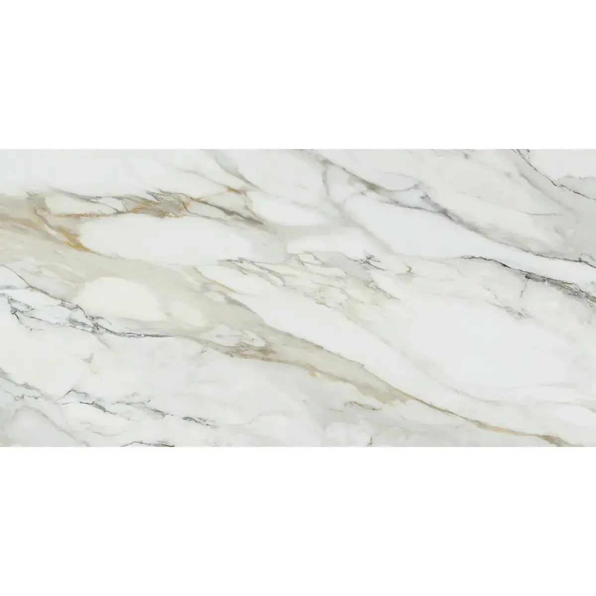 Emporio Arabescato Corchia Polished Porcelain Tile 24x48 | Tile Club