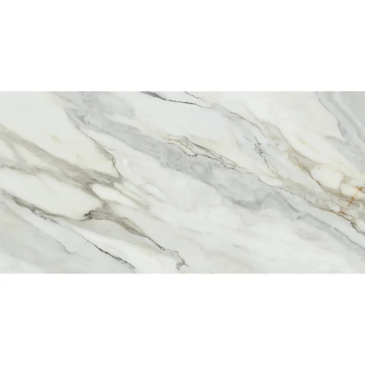 Emporio Arabescato Corchia Polished Porcelain Tile 24x48 | Tile Club