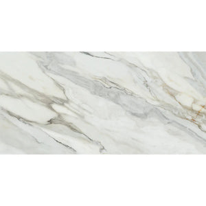 Emporio Arabescato Corchia Polished Porcelain Tile 24x48