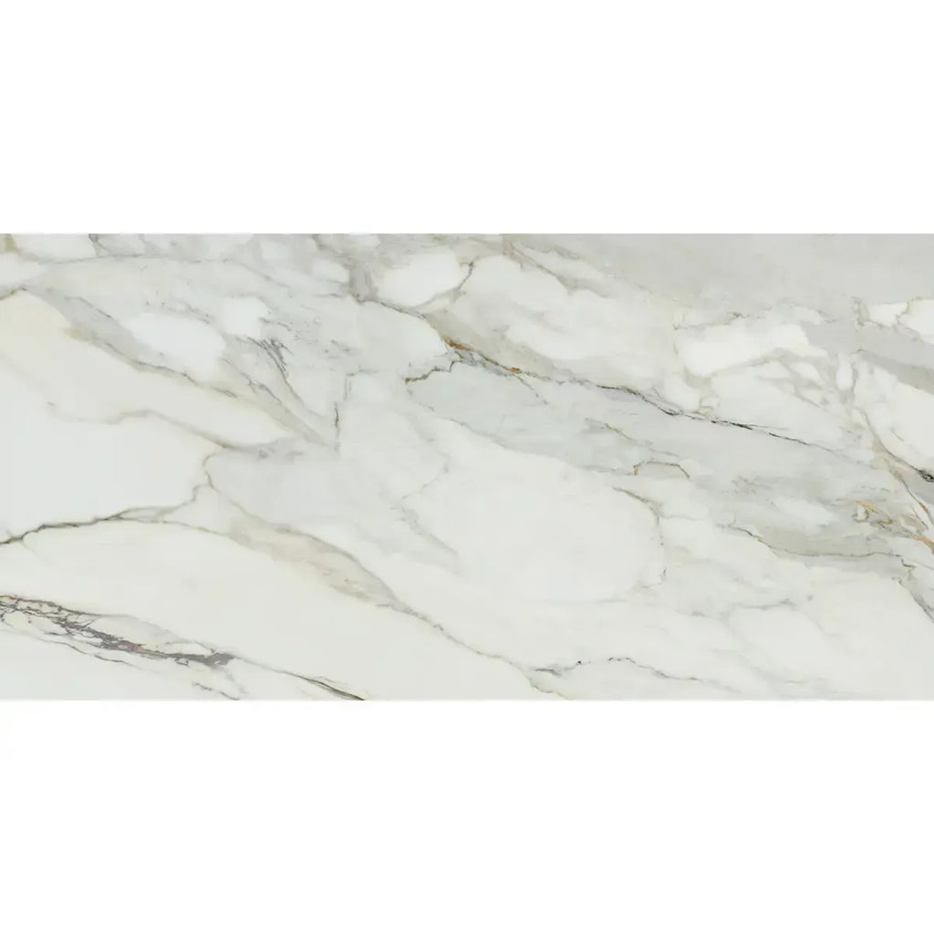 Emporio Arabescato Corchia Matte Porcelain Tile 24x48 | Tile Club