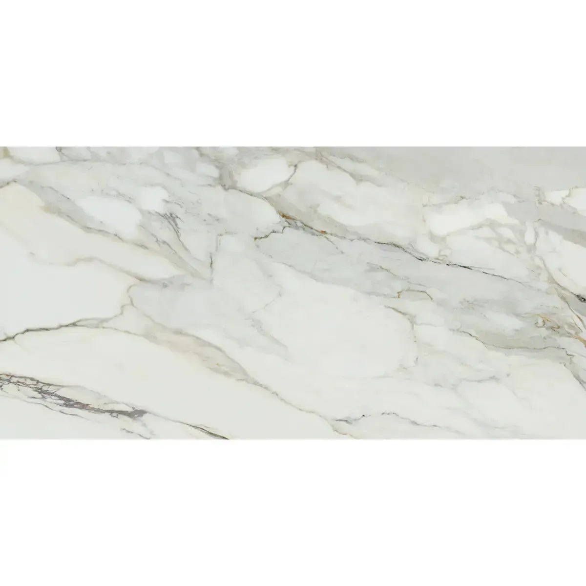 Emporio Arabescato Corchia Matte Porcelain Tile 24x48 | Tile Club