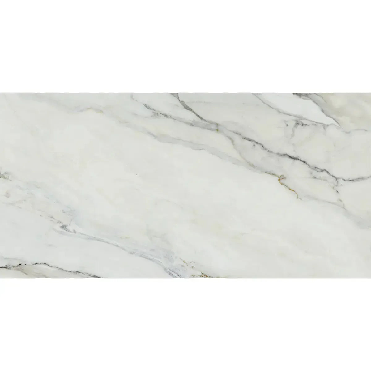 Emporio Arabescato Corchia Matte Porcelain Tile 24x48 | Tile Club