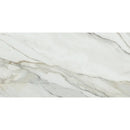 Emporio Arabescato Corchia Matte Porcelain Tile 24x48 | Tile Club