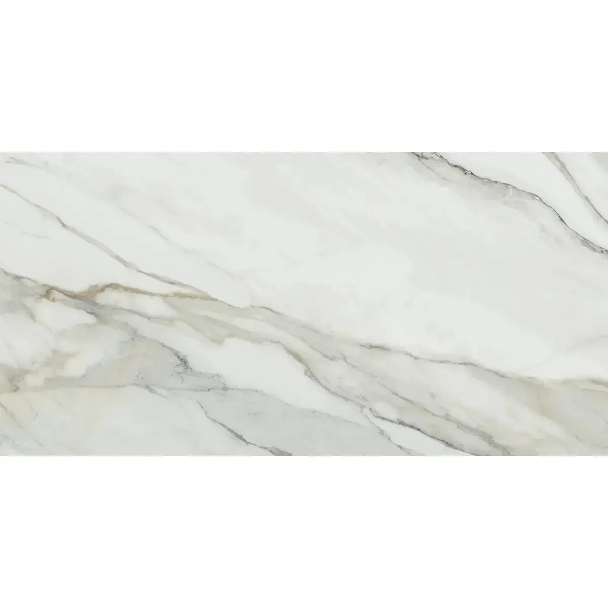 Emporio Arabescato Corchia Matte Porcelain Tile 24x48 | Tile Club