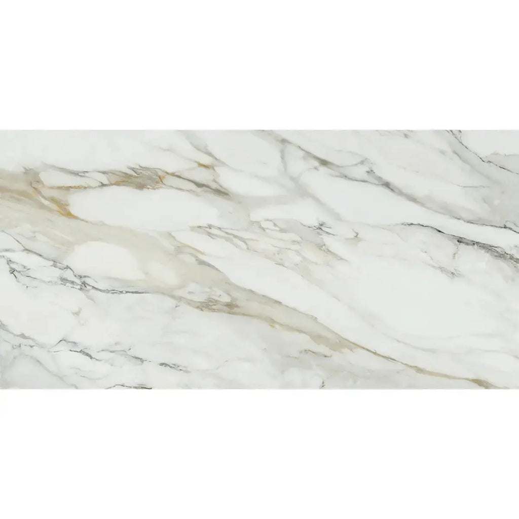 Emporio Arabescato Corchia Matte Porcelain Tile 24x48 | Tile Club