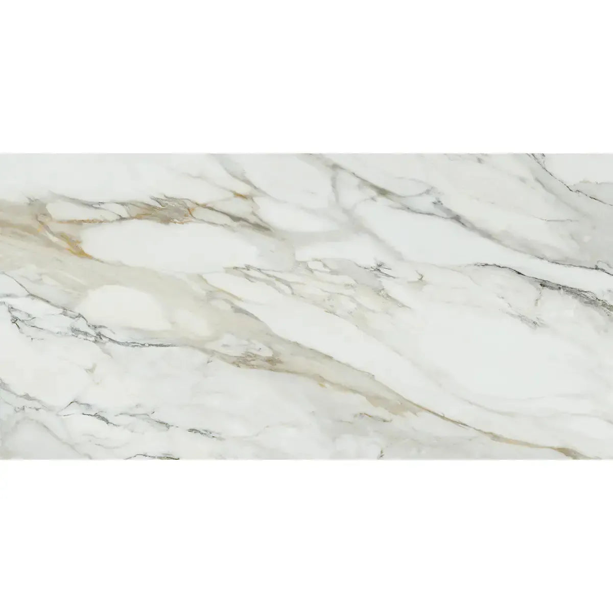 Emporio Arabescato Corchia Matte Porcelain Tile 24x48 | Tile Club