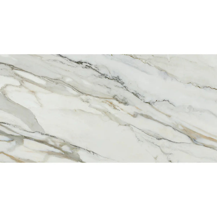 Emporio Arabescato Corchia Matte Porcelain Tile 24x48 | Tile Club