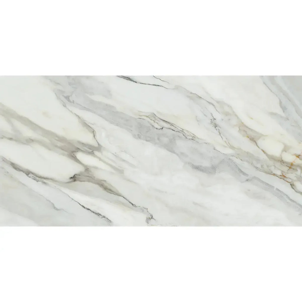 Emporio Arabescato Corchia Matte Porcelain Tile 24x48 | Tile Club