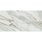 Emporio Arabescato Corchia Matte Porcelain Tile 24x48 | Tile Club