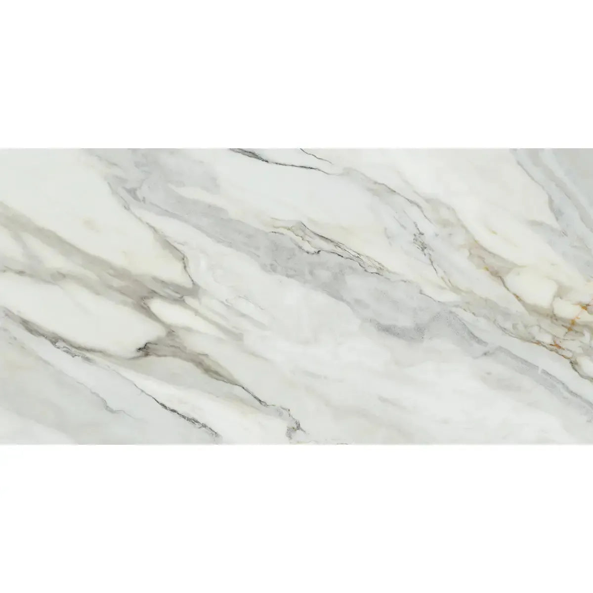 Emporio Arabescato Corchia Matte Porcelain Tile 24x48 | Tile Club