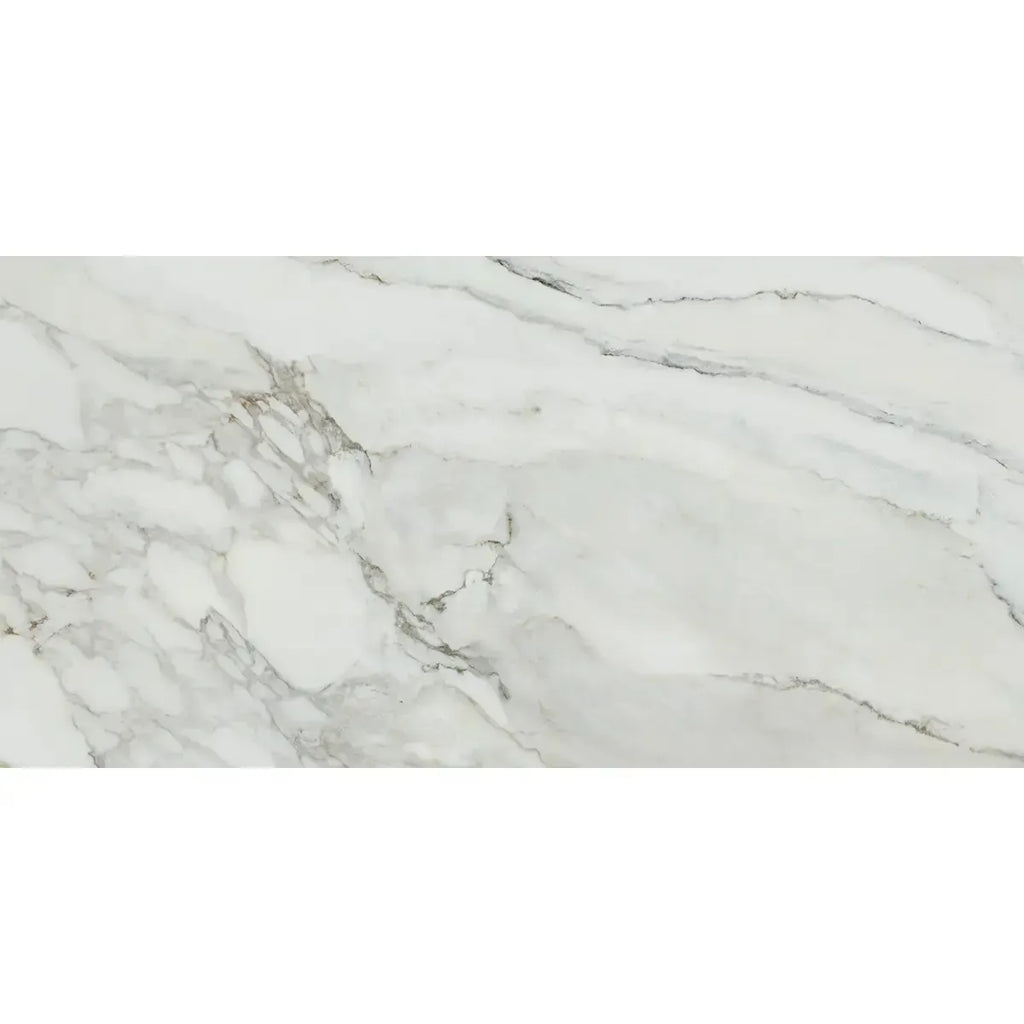 Emporio Arabescato Corchia Matte Porcelain Tile 24x48 | Tile Club