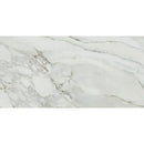 Emporio Arabescato Corchia Matte Porcelain Tile 24x48 | Tile Club