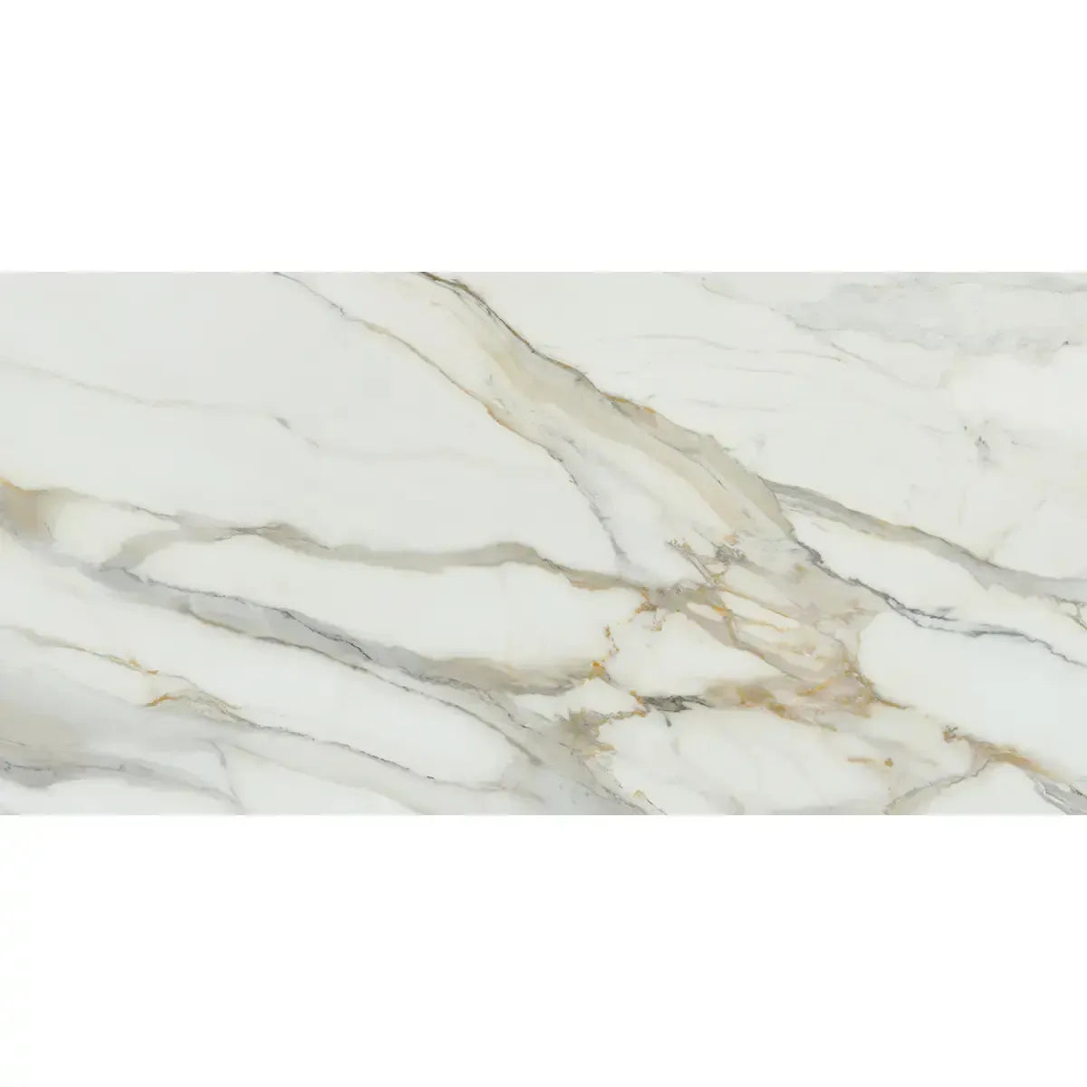 Emporio Arabescato Corchia Matte Porcelain Tile 24x48 | Tile Club