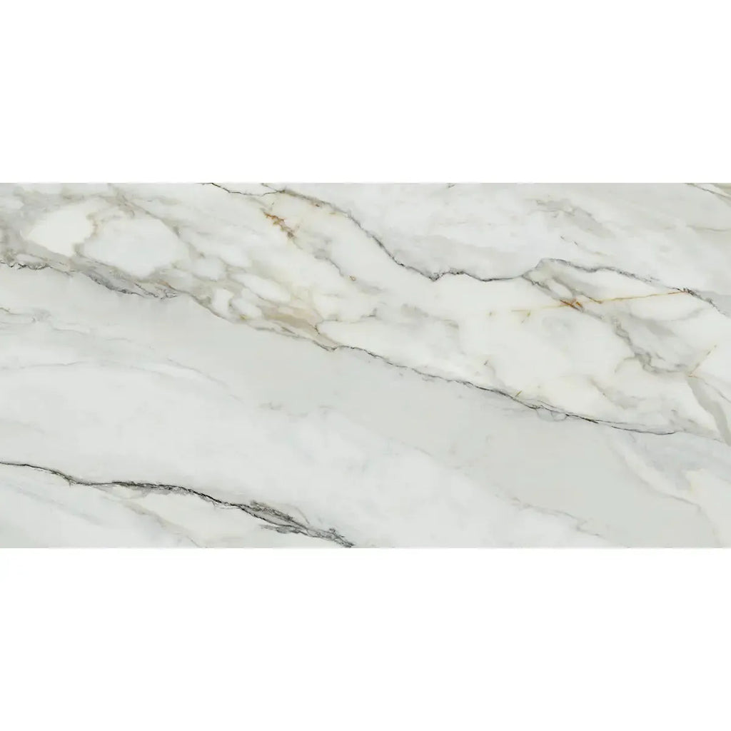 Emporio Arabescato Corchia Matte Porcelain Tile 24x48 | Tile Club