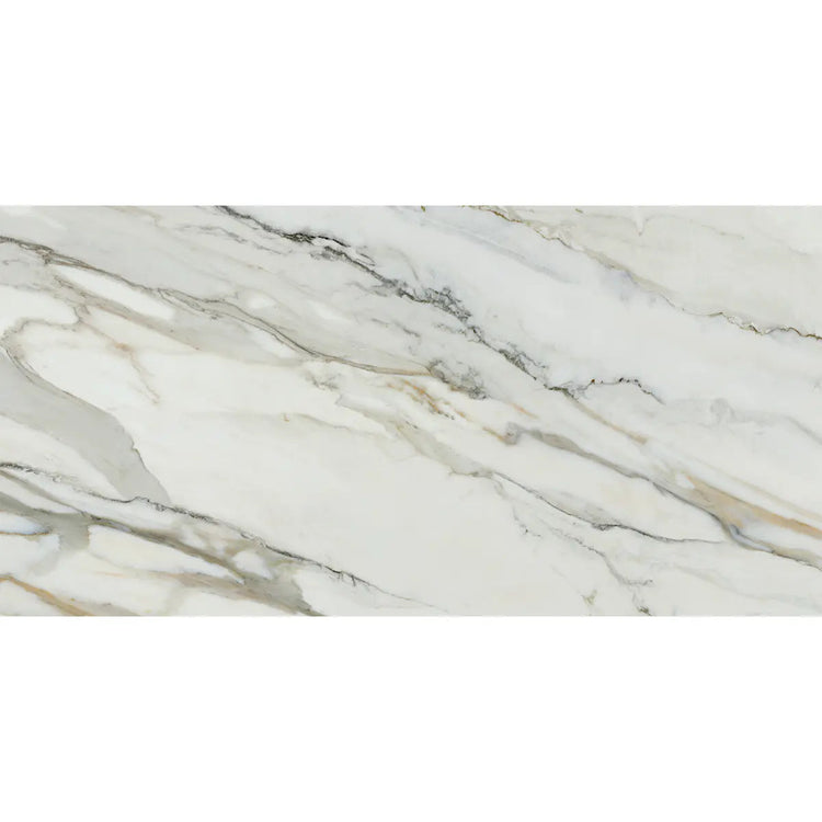 Emporio Arabescato Corchia Matte Porcelain Tile 24x48 | Tile Club