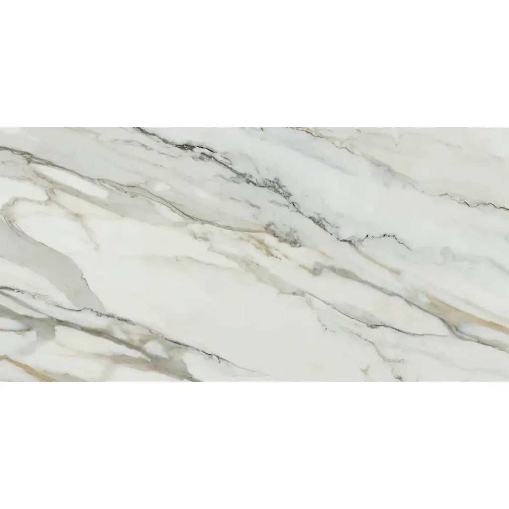 Emporio Arabescato Corchia Matte Porcelain Tile 24x48 | Tile Club