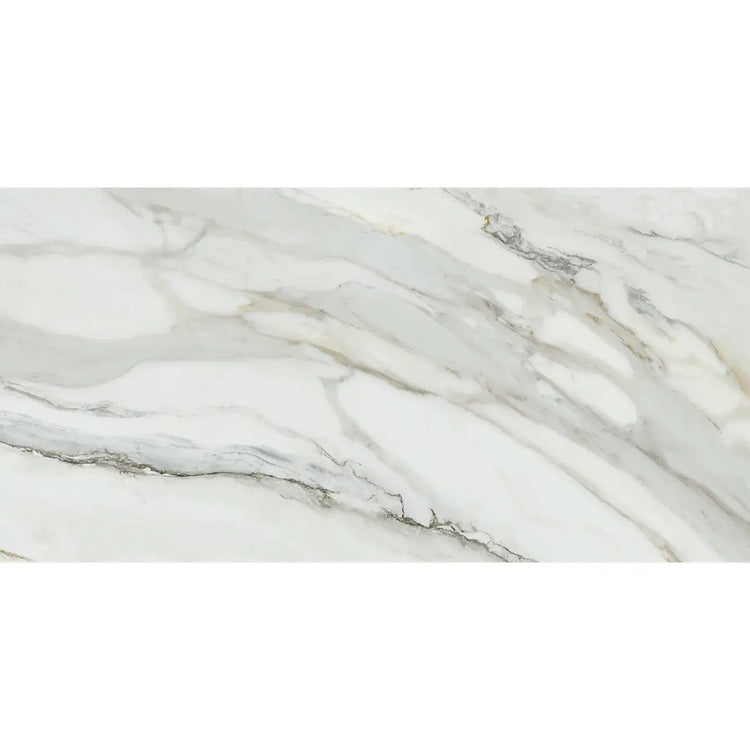 Emporio Arabescato Corchia Matte Porcelain Tile 24x48 | Tile Club