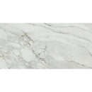 Emporio Arabescato Corchia Matte Porcelain Tile 24x48 | Tile Club