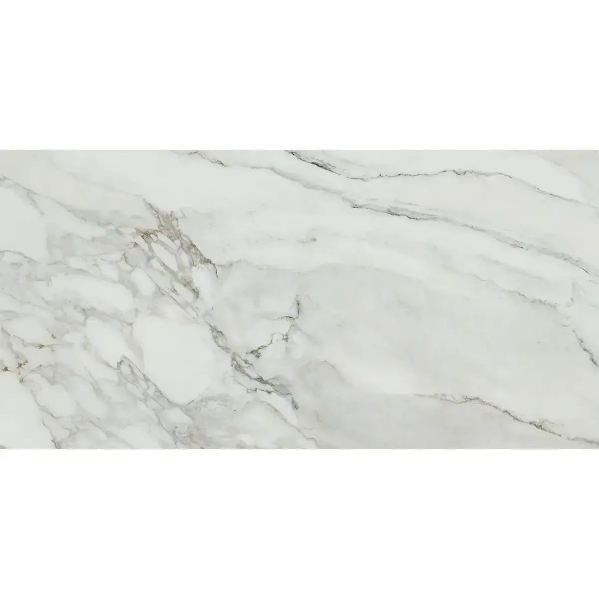 Emporio Arabescato Corchia Matte Porcelain Tile 24x48 | Tile Club