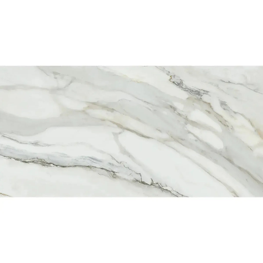 Emporio Arabescato Corchia Matte Porcelain Tile 24x48 | Tile Club