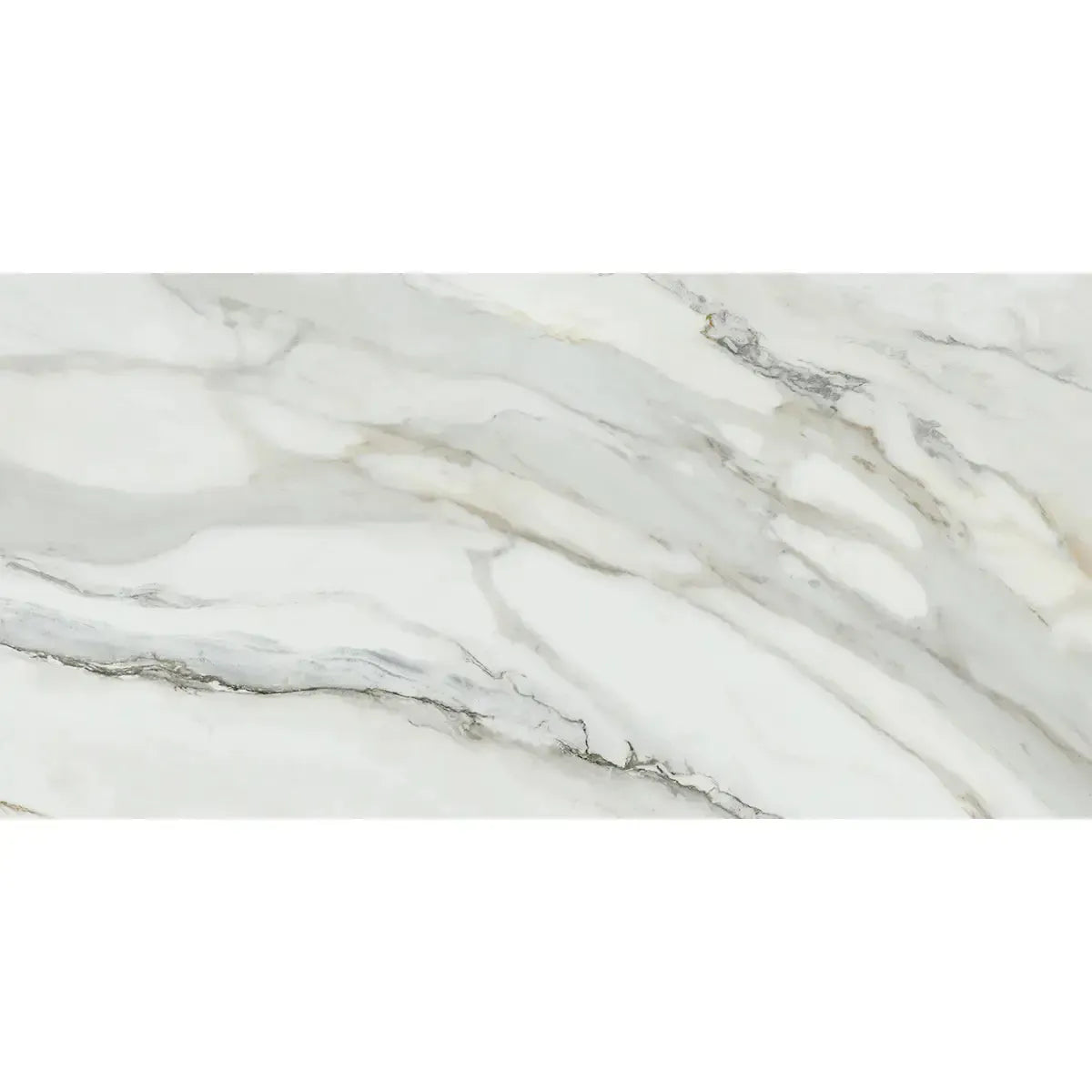 Emporio Arabescato Corchia Matte Porcelain Tile 24x48 | Tile Club