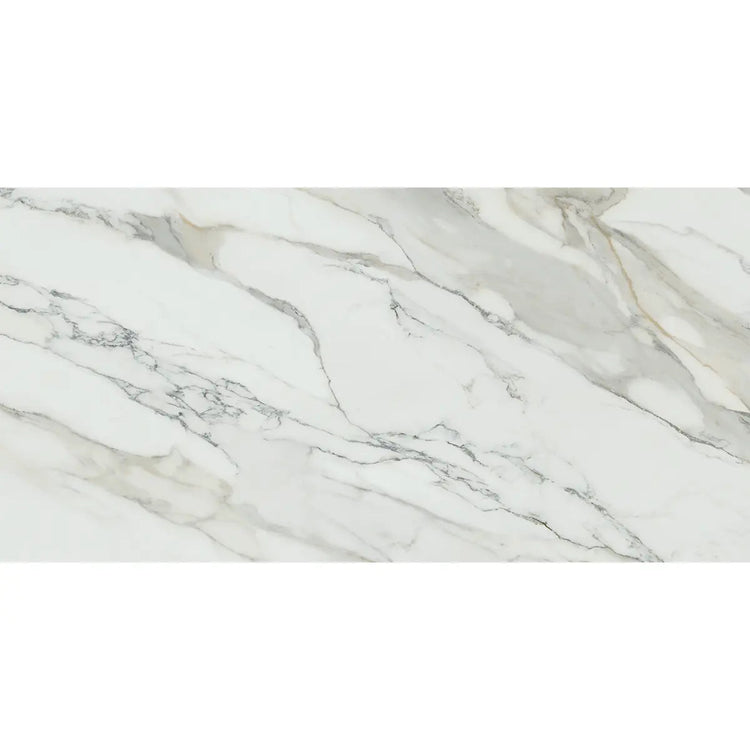 Emporio Arabescato Corchia Matte Porcelain Tile 24x48 | Tile Club