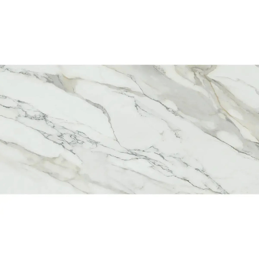 Emporio Arabescato Corchia Matte Porcelain Tile 24x48 | Tile Club
